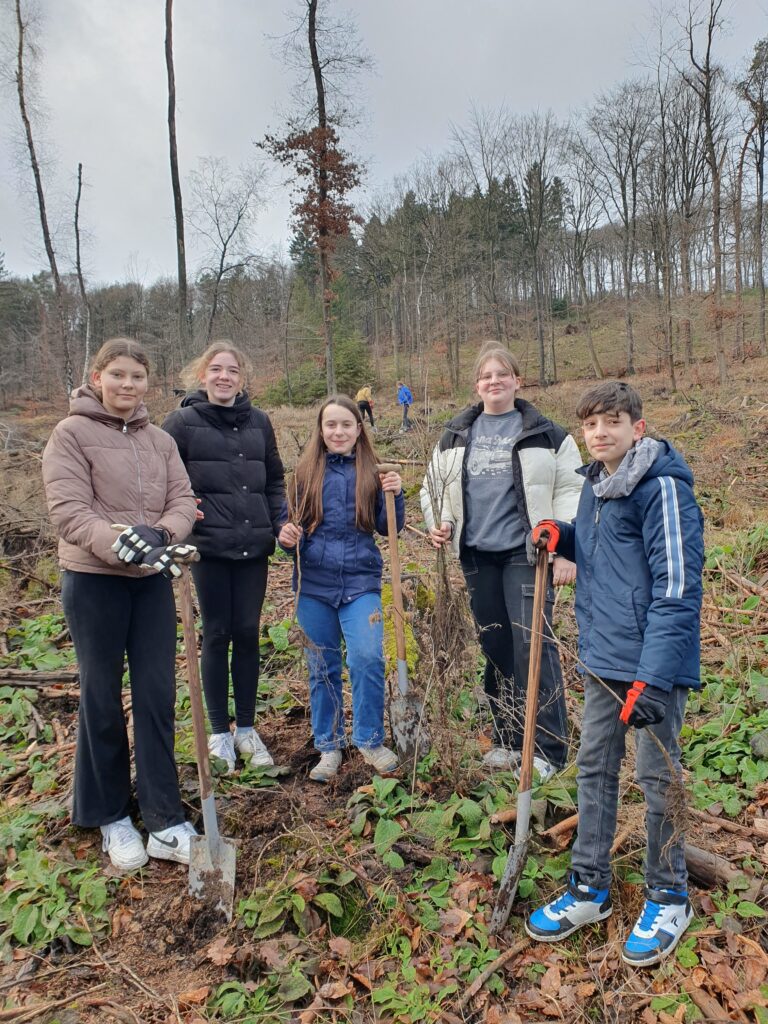 Forst Calvarienberg - Grundstock für einen klimastabilen Wald - Realschule Calvarienberg Ahrweiler