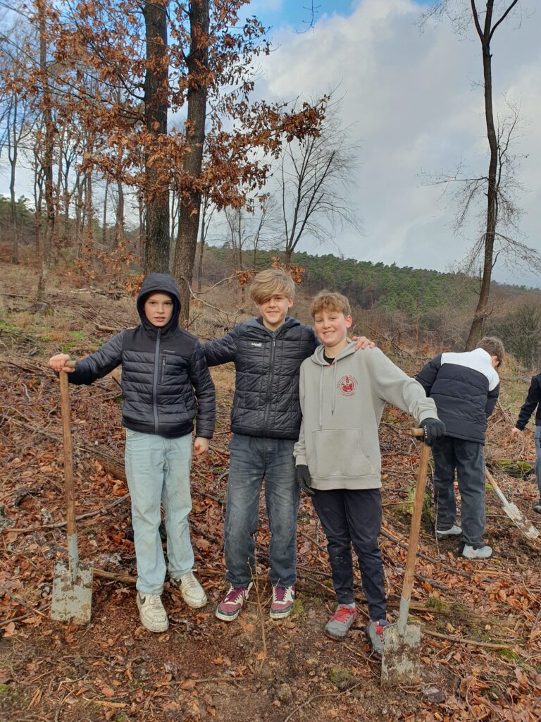 Forst Calvarienberg - Grundstock für einen klimastabilen Wald - Realschule Calvarienberg Ahrweiler